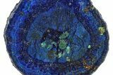 Vivid Blue, Cut/Polished Azurite & Malachite Nodule Slice #209479-1